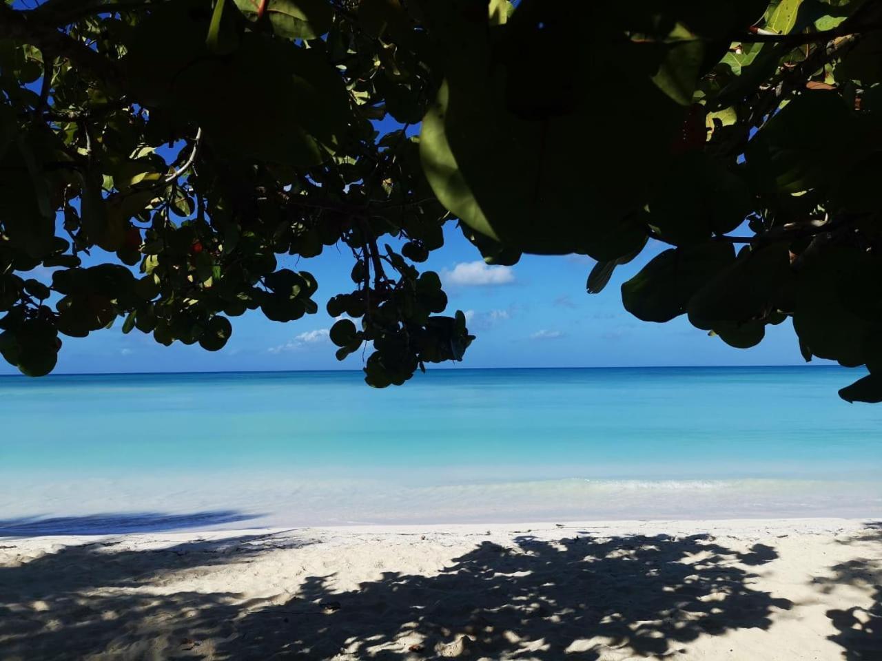 Saona Beach House - Bed And Breakfast Mano Juan Exterior foto