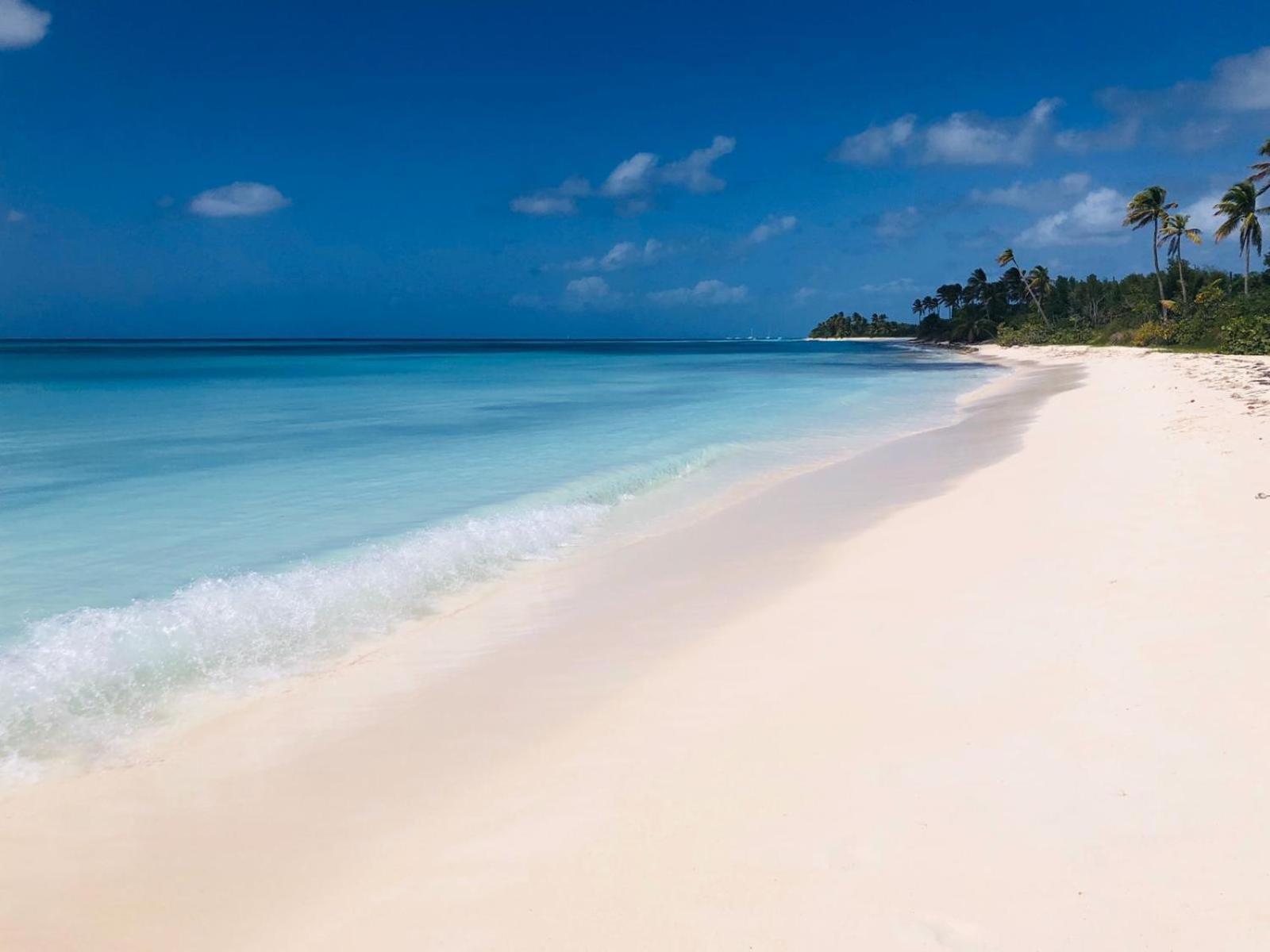 Saona Beach House - Bed And Breakfast Mano Juan Exterior foto