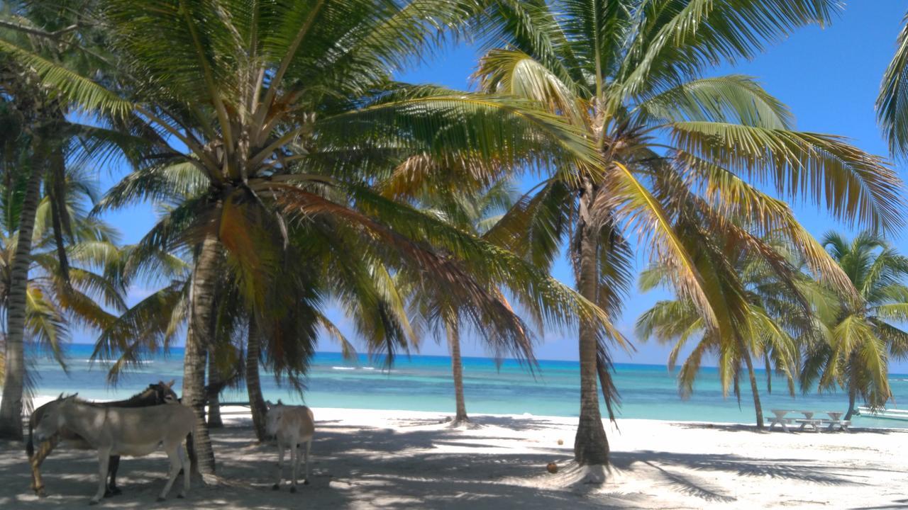 Saona Beach House - Bed And Breakfast Mano Juan Exterior foto