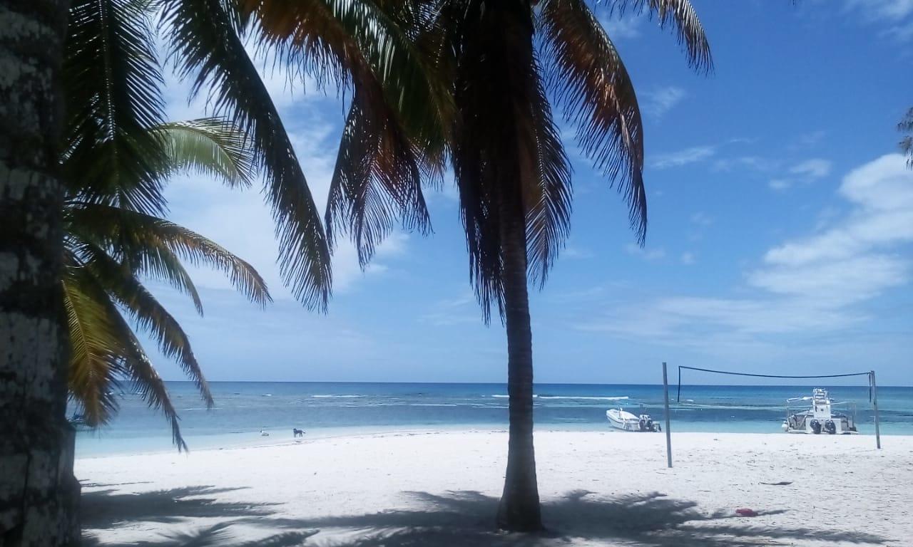 Saona Beach House - Bed And Breakfast Mano Juan Exterior foto