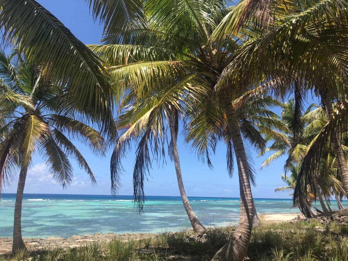 Saona Beach House - Bed And Breakfast Mano Juan Exterior foto